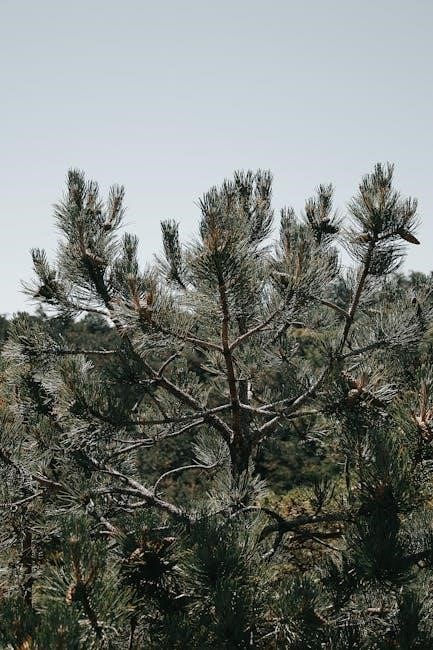 How to Deduct Your Phone Bill as a Business Expense | Comprehensive Guide